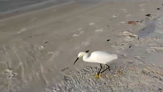 How you can name it ? (Как бы Вы назвали это ?) смотреть онлайн