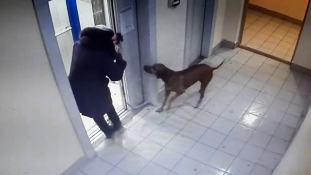 Как замести следы преступления