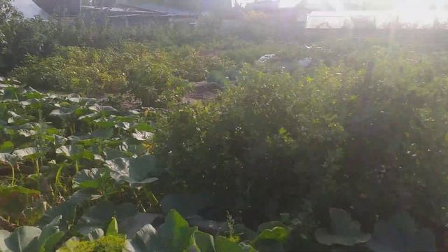 дедушка и кучугуры смотреть онлайн