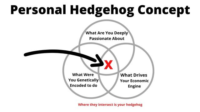 Should You Learn PHP? – Use the Hedgehog Concept to Determine if PHP is Right for You. смотреть онлайн
