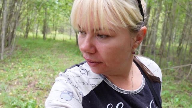 С хорошими друзьями за грибами в августе 2021. ТИХАЯ ОХОТА .Рязанская область смотреть онлайн