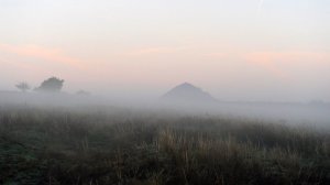 Красный Луч-новый день