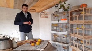 ПОЛЕЗНОЕ ПИТАНИЕ ДЛЯ КАНАРЕЕК.ЭТОТ СПОСОБ ИСПОЛЬЗУЮТ ОПЫТНЫЕ ЗАВОДЧИКИ.КОРМ ДЛЯ КАНАРЕЕК .