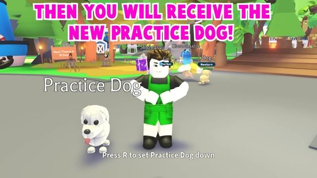 ?HOW TO GET THE NEW PRACTICE DOG IN ADOPT ME!?NEW SECRET PET RELEASED! (NEW UPDATE) ROBLOX смотреть онлайн