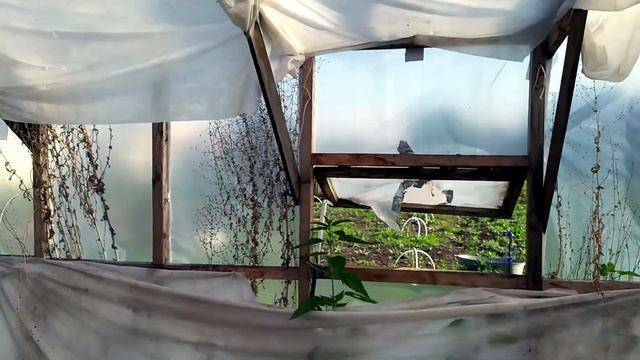 Термопривод для теплицы, распаковка и обзор смотреть онлайн