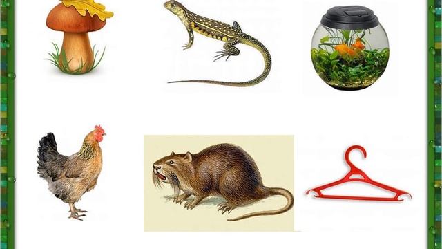 Автоматизация звука Рь в словах смотреть онлайн