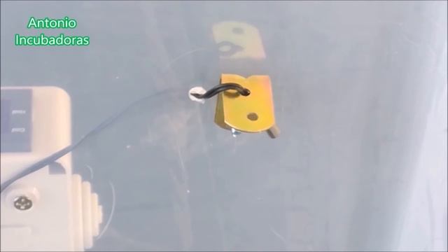 Como hacer una incubadora facil смотреть онлайн