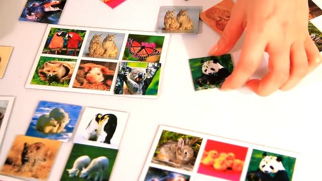 GRANNA Настольная игра Лото Зверюшки смотреть онлайн
