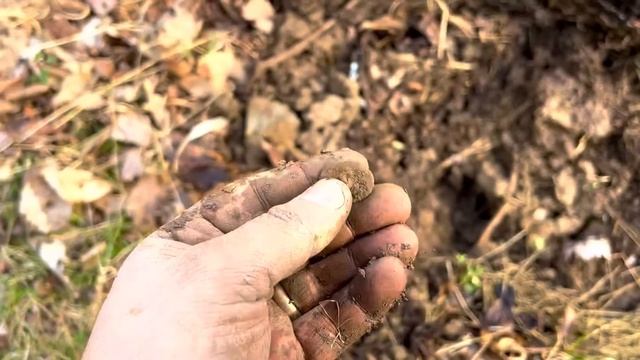 Old Map Leads to Lost Village full of Real Treasure! PA Relic Hunters! смотреть онлайн