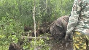Пе 2 Не вернулся с боевого задания