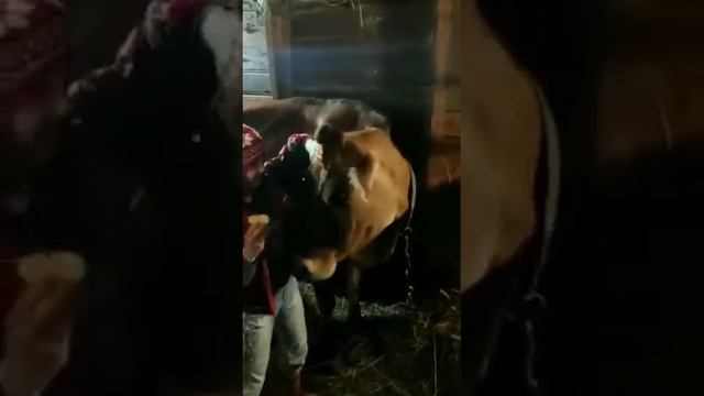 я перехожу в четвёртый класс это было только во втором классе смотреть онлайн