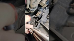 Замена лампочек противотуманок на Пежо-307 2005г.