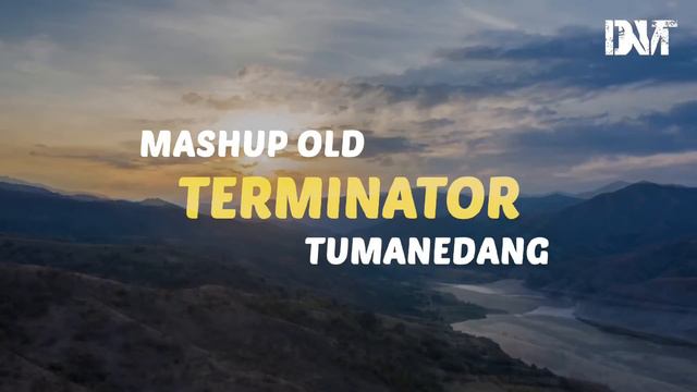 DJ TERMINATOR X MASHUP OLD X TUMANEDANG VIRAL TIKTOK смотреть онлайн