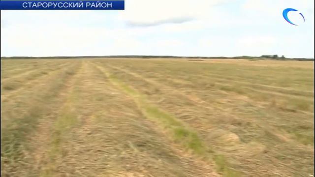 Фермеры Старорусского района опасаются итогов кормовой заготовительной кампании смотреть онлайн
