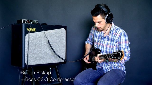 Washburn WI 14 Guitar Review By Paul Loomberg