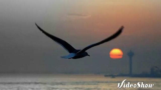 Причал... (Стихи о Любви) смотреть онлайн