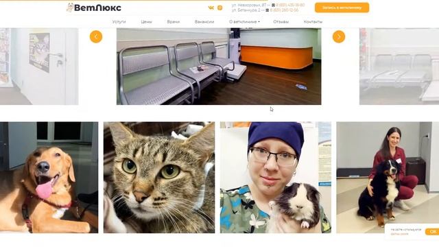 Разработка и продвижение сайта для ветеринарной клиники ВетЛюкс смотреть онлайн