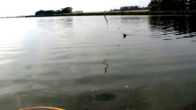 Прикормка для леща в домашних условиях смотреть онлайн