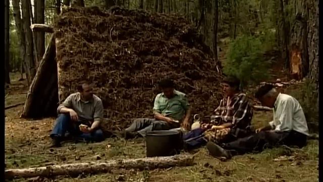 La RESINA. Extracción tradicional de la corteza del tronco del pino | Oficios Perdidos | Documental смотреть онлайн