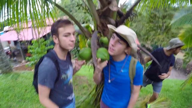 COSTA RICA BABY 2/3 смотреть онлайн