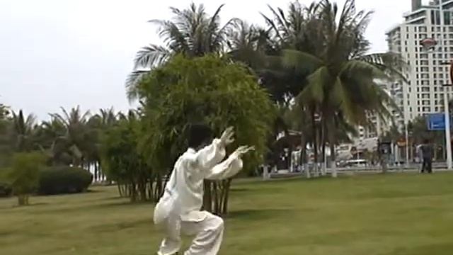 Master Shen Zhi (沈智 Шень Чжи), Xinjia Yilu Chenshi Taijiquan