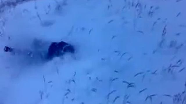 Это Россия! Весь смысл в конце) смотреть онлайн