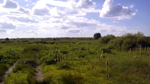 Продаю рекреационный участок 20.4 Га в Воронеже. смотреть онлайн