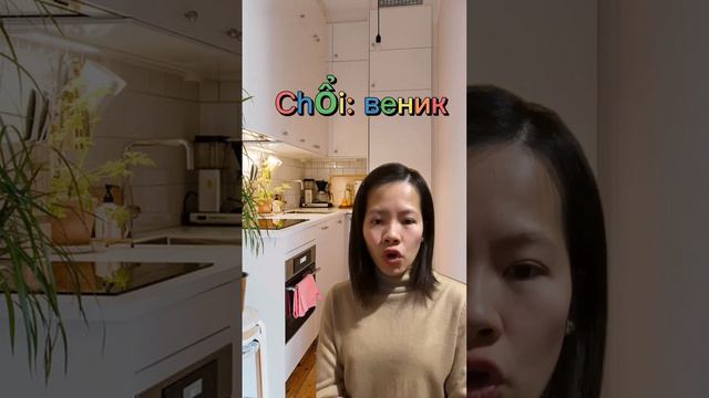 ГЕНЕРАЛЬНАЯ УБОРКА К НОВОМУ ГОДУ ||. Вьетнамский Язык с носителем 🇻🇳👩🏼💼 смотреть онлайн