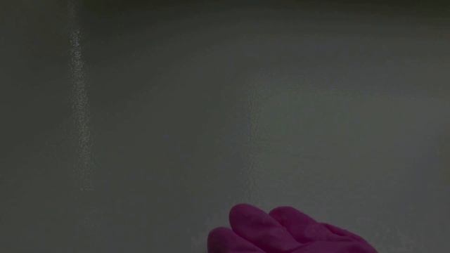 Супер УДАЧНЫЕ покупки с сайта JOOM. Довольны все, даже собака)