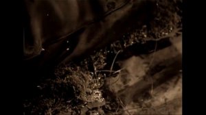 Арсений Тарковский - Посредине мира