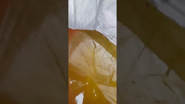 Надувной бассейн на даче | Цветет вода в бассейне что делать? смотреть онлайн