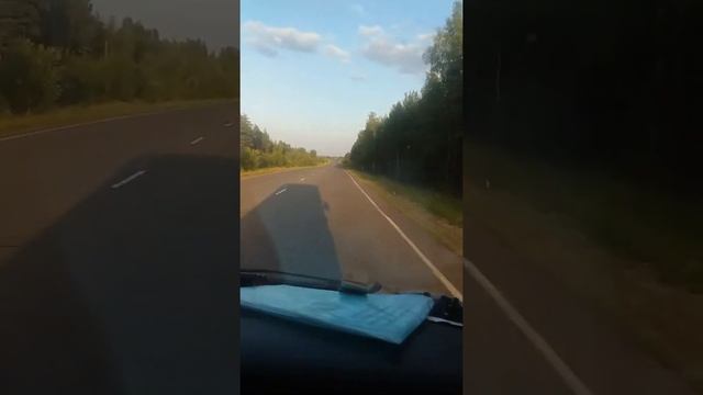 Курск область Ворошнево смотреть онлайн