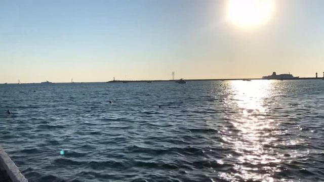 07.08.2020 Погода в Сочи в августе. Смотри на Чёрное море каждый день. смотреть онлайн