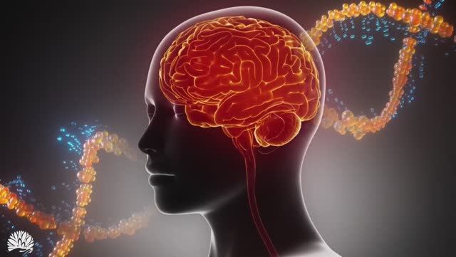 Альфа-волны , исцеление тела и регенерация ДНК , укрепление иммунной системы - омоложение всего тела смотреть онлайн