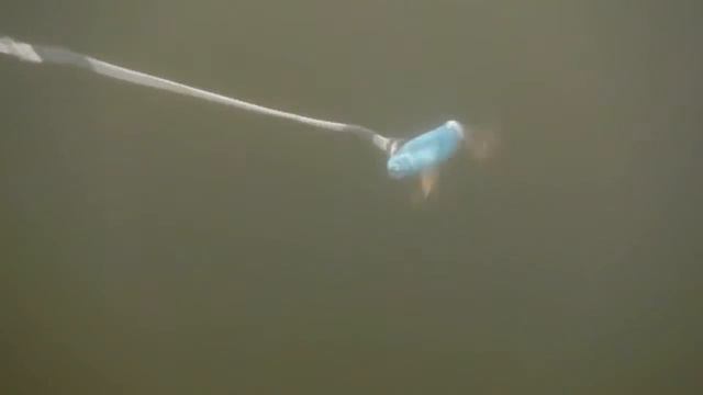 Блесна Цикада (Cicada) \ vibration lures Cicada \ blade bait смотреть онлайн