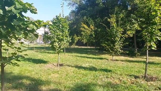 Ростов на Дону парк Островского история и современность смотреть онлайн