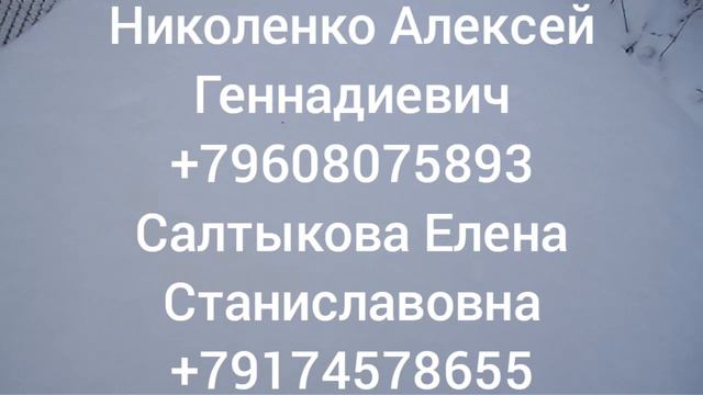 ГДЕ УЗНАТЬ ЧИСТОПОРОДНОСТЬ ПЧЕЛ ?   г. УФА ИНСТИТУТ БИОХИМИИ И ГЕНЕТИКИ .УФИЦ РАН.
