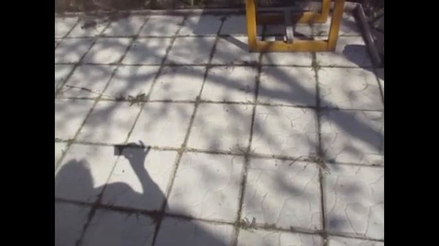 Ода деревянным дорожкам на садовом участке. смотреть онлайн