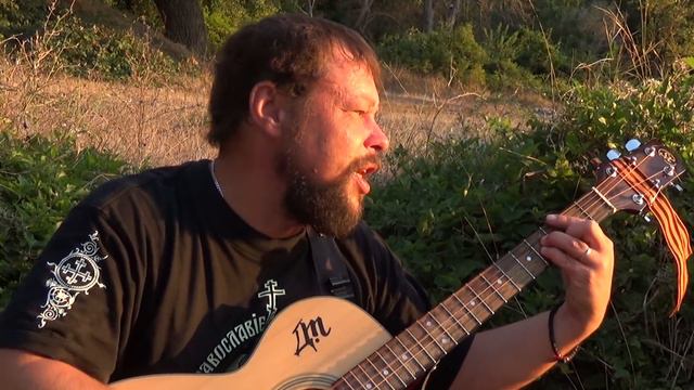 Салим Салкин (гр.День Триффидов) - Донбас победа смотреть онлайн