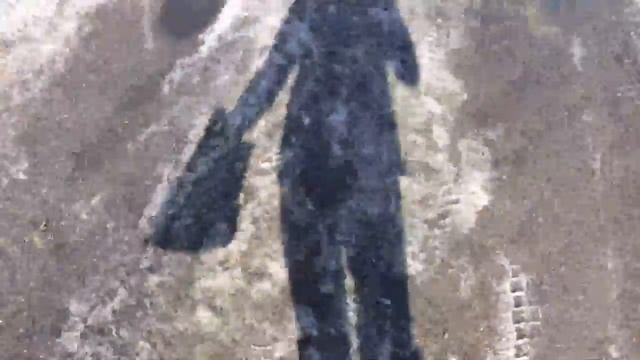 влог взла в аренду шкаф!