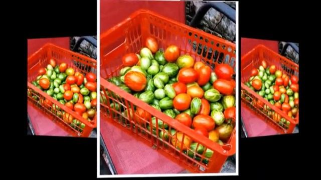 Три сорта с названием «яйцо», и все разные и по вкусу, и по весу смотреть онлайн