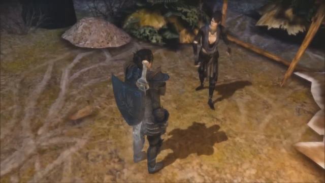 Let's Play Dragon Age Origins Outtake 1 (HD) : Bad Morrigan!! смотреть онлайн