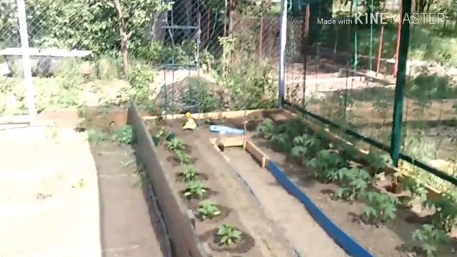 Затеняющая сетка для растений смотреть онлайн