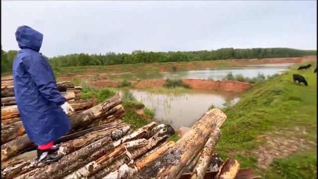 33 коровы или *время разбрасывать ками, время их собирать...* смотреть онлайн