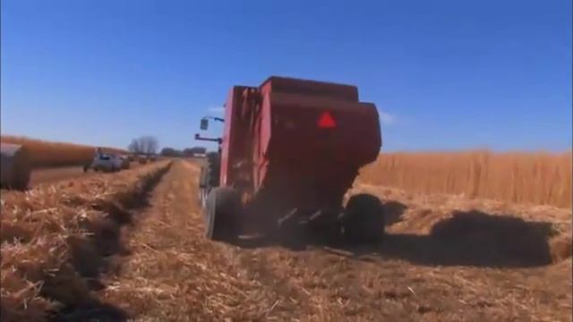 Уборка с замером влажности и температуры смотреть онлайн