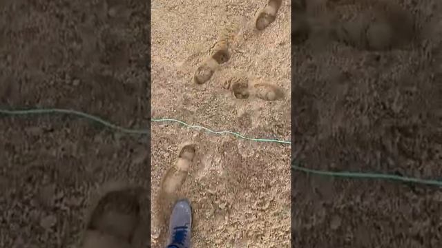 Правильный #песок для #фундаментной #плиты #бетон #стройка #монолит #газобетон #заливкабетона смотреть онлайн