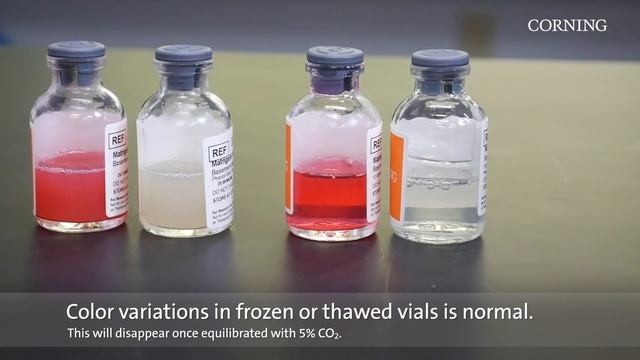 Corning® Matrigel® Matrix: Thawing Best Practices смотреть онлайн
