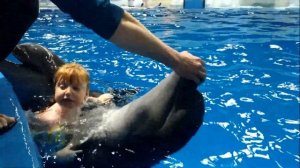 Плавание с дельфинами  Екатеринбург.дельфинотерапия. Открытие океанариума в карантин.