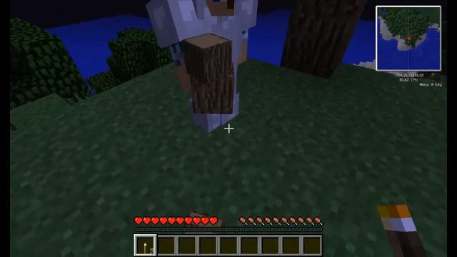 Тупые сервера в minecraft! #12 смотреть онлайн