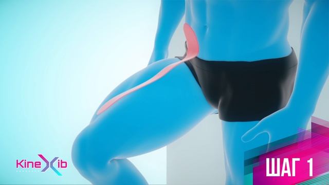 Kinexib - тейпирование повздошно-поясничной мышцы смотреть онлайн